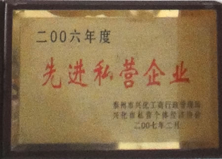 2006年先進私營企業